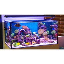 Kaca Akuarium ekstra clear 8mm