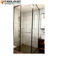 Asahimas 10mm tempered glass shower